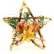 RUSTIC STAR