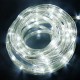 White Led Hose